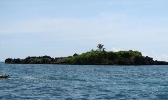 Crocodile Island