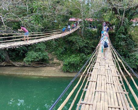 Bamboo Hanging Bridge