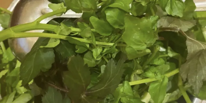 龍裏林豐野生菌肉餅雞火鍋店