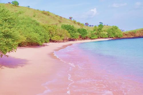 ピンク サンド ビーチ Attractions ダンモア タウン Travel Review Travel Guide Trip Com