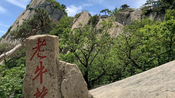 Fengcheng