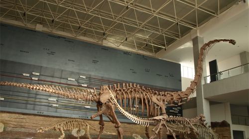 Chaoyang Bird Fossil National Geological Park