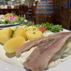 Fisch Franke User Photo