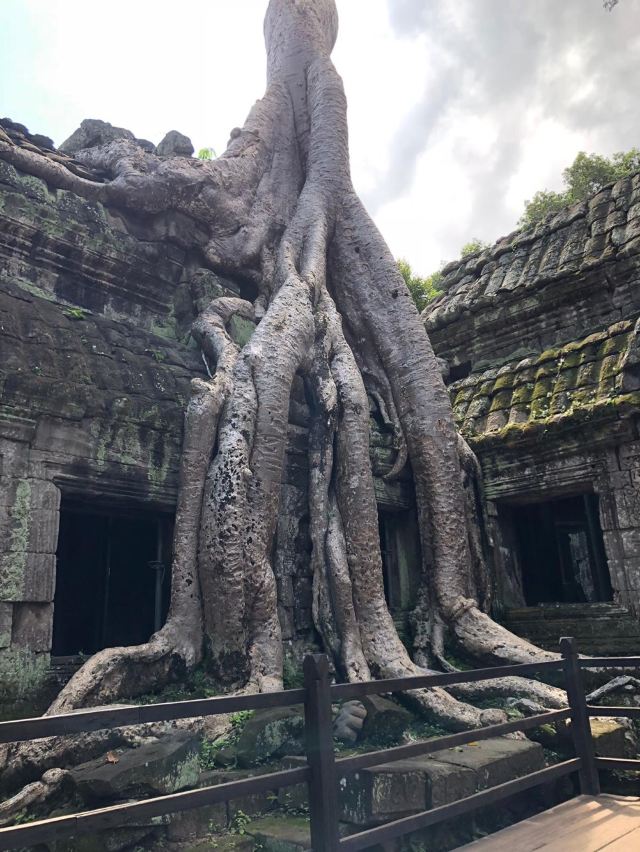 따프롬