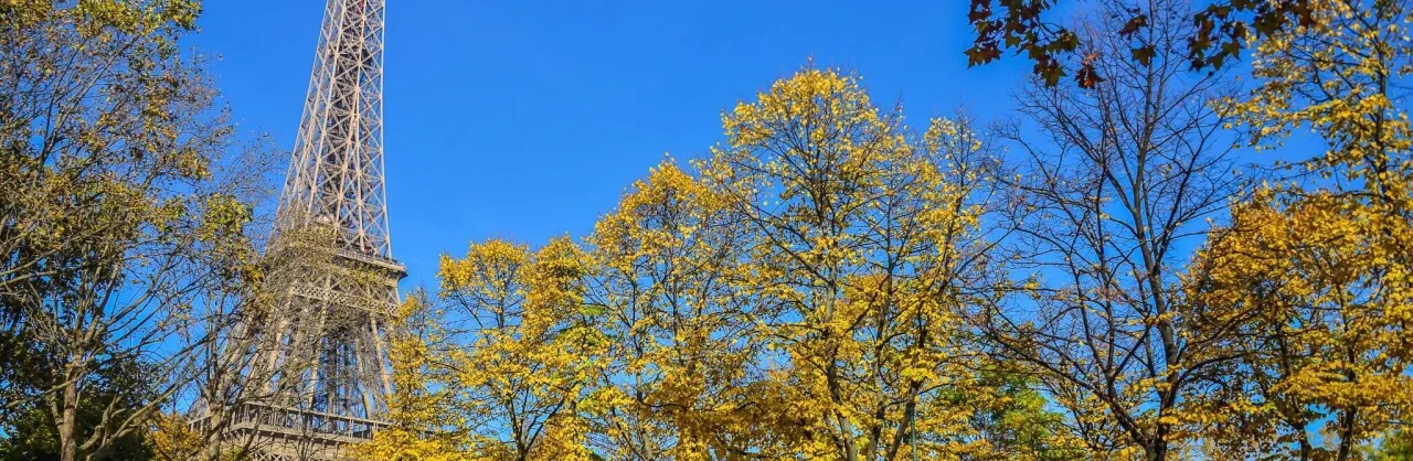 Fall Viewing Attractions