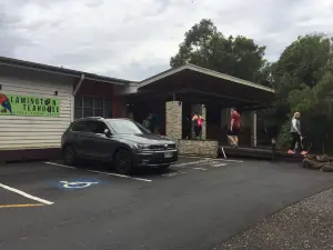 Binna Burra Tea House