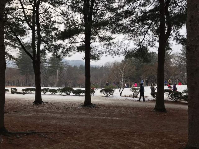 Nami Island