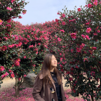 冬天去濟州必看的山茶花 | 仼食濟州柑，還有山茶花奶茶！