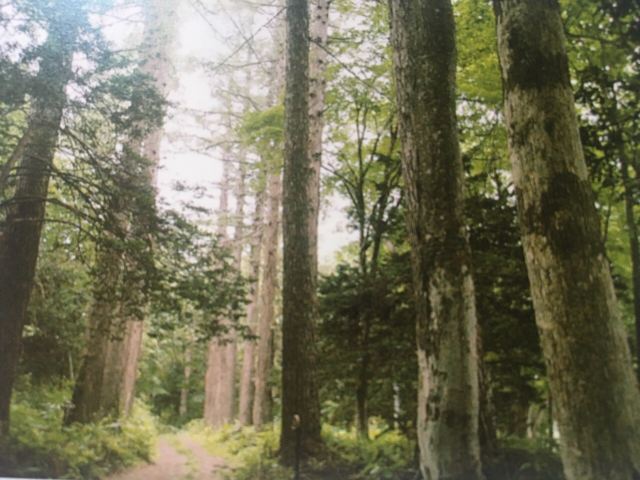 Tsukiura Forest Nature Park