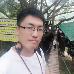 巨樹咖啡館張用戶圖片