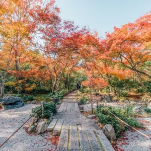 寶筐院