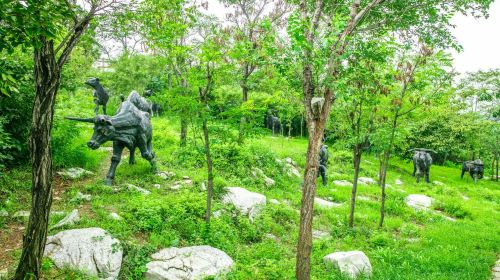 Yuanshan National Forest Park