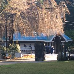 CC's Chinese Restaurant User Photo