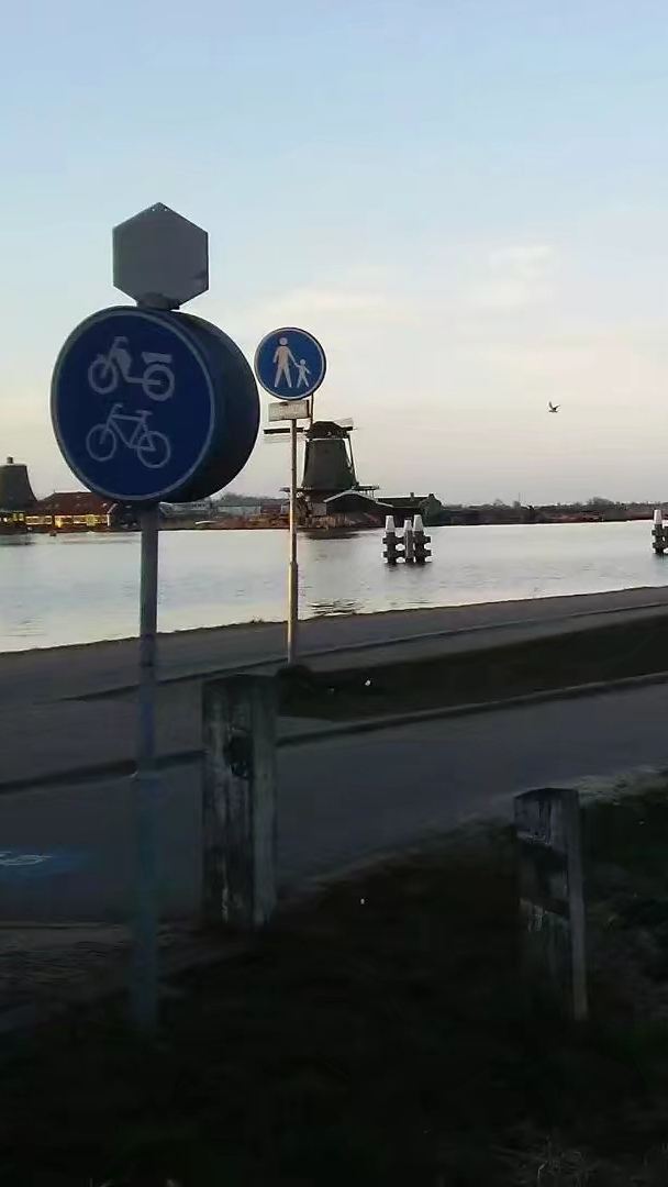 Het Jonge Schaap