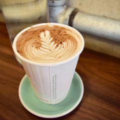 Little Collins User Photo