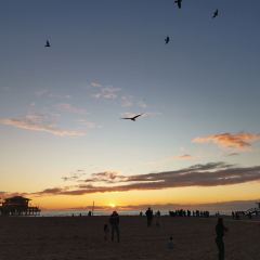 Bubba Gump Shrimp Co.  (SANTA MONICA PIER) User Photo