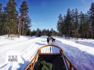 Bearhill Husky