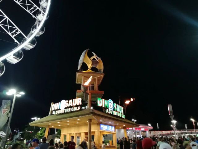Niagara Skywheel