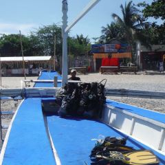Verde Divers User Photo