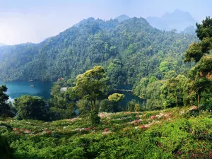 Dinghu Mountain