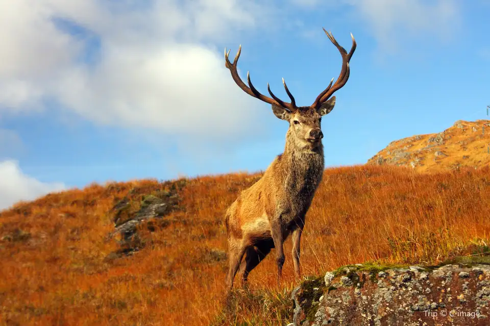 3_Scottish Highlands
