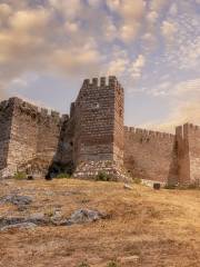 Ayasuluk Fortress