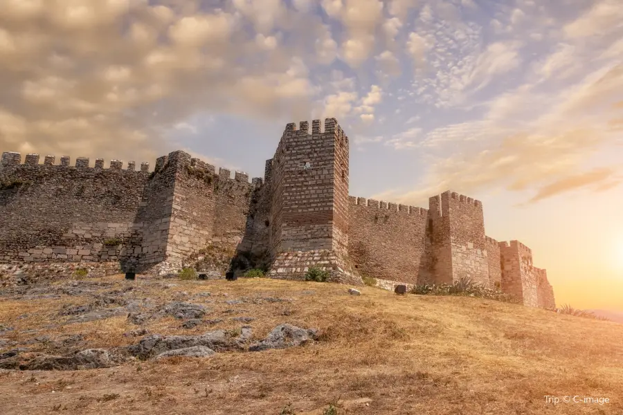 Ayasuluk Fortress