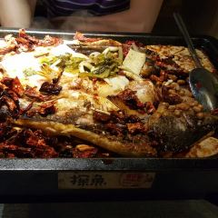 Tan Fish (chuangyichanyeyuan) User Photo