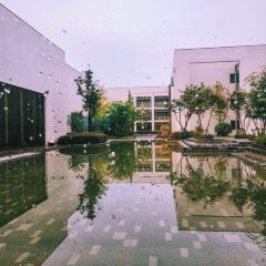 Zhongxintaifuzhujiajiaojinjiangjiudian·pinmingge User Photo