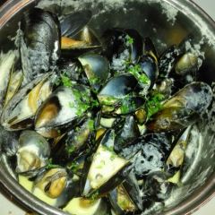 Ecco Vino User Photo