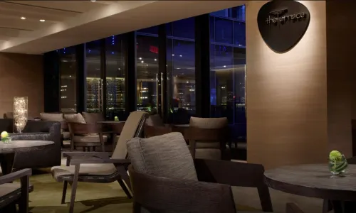 THE TERRACE