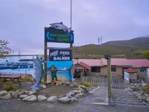 高地鄉村鮭魚