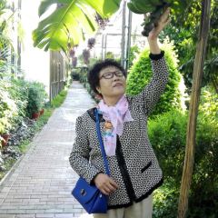 Changjixiaochiyitiaojie User Photo