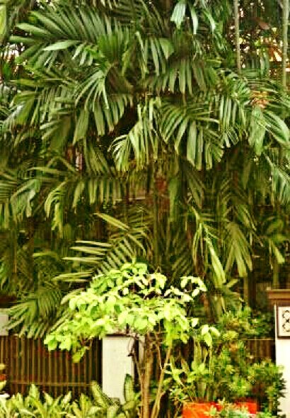 RUEN URAI FINE THAI CUISINE