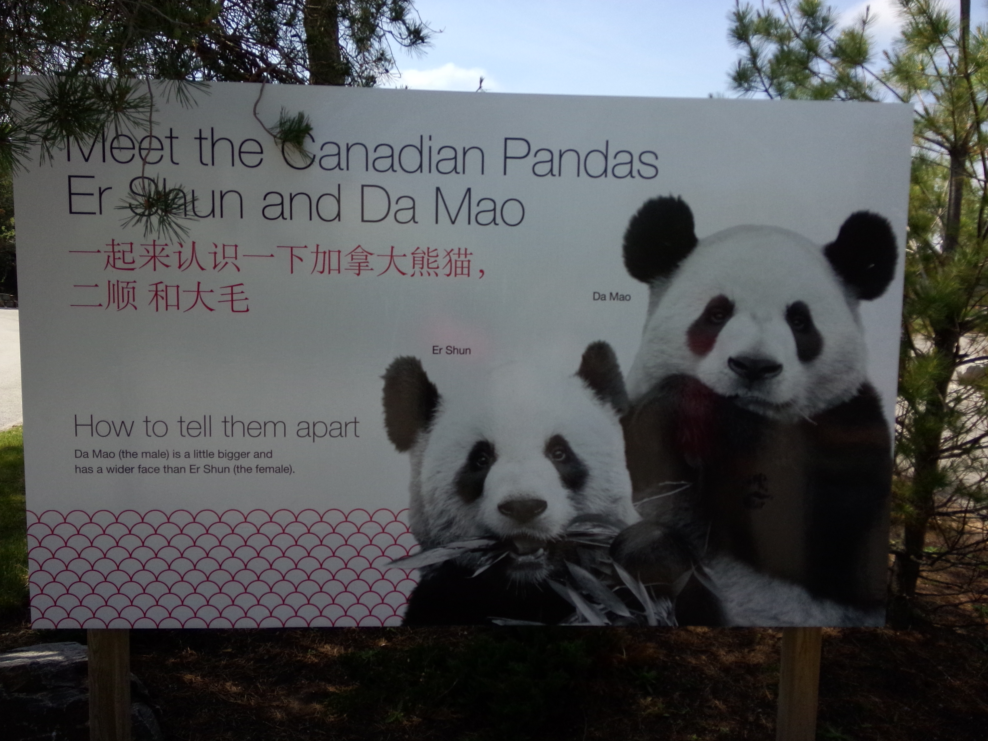 トロント トロント動物園 評判 案内 トリップドットコム トロント トロント動物園 評判 案内 トリップドットコム
