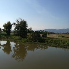 Art Bridge Chiangrai User Photo