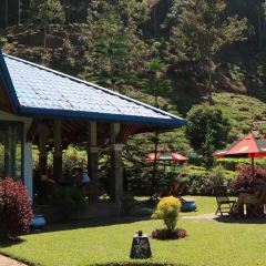 BlueField Tea Restaurant User Photo
