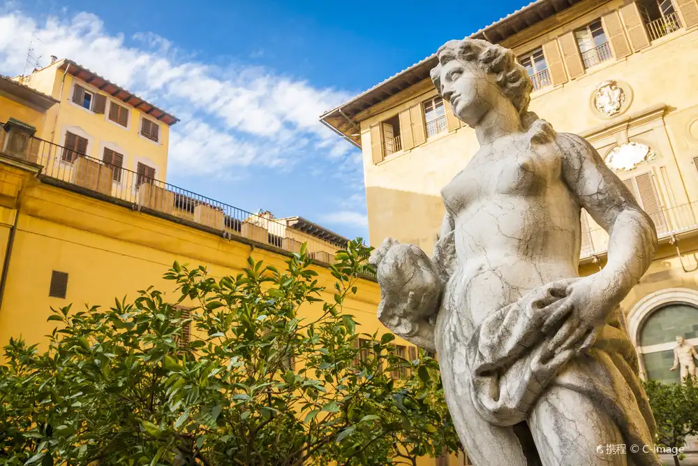 美第奇-裡卡爾第宮附近的飯店