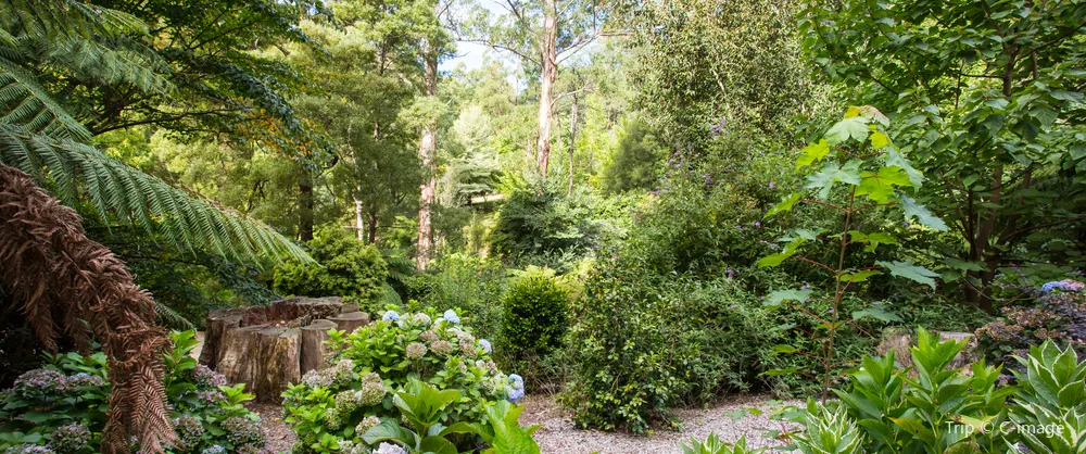Sites de Randonnée Florale
