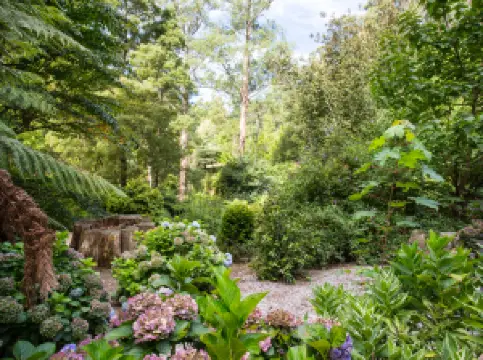 Dandenong Ranges National Park