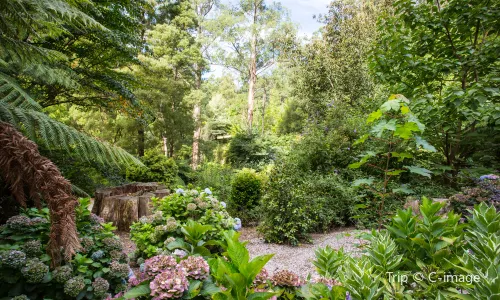 Dandenong Ranges National Park