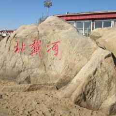 Shenhai Fishing Port User Photo