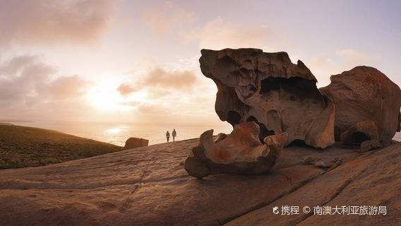 海豹灣