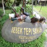 Bebek Tepi Sawah張用戶圖片