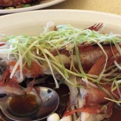 Newport Seafood Restaurant User Photo