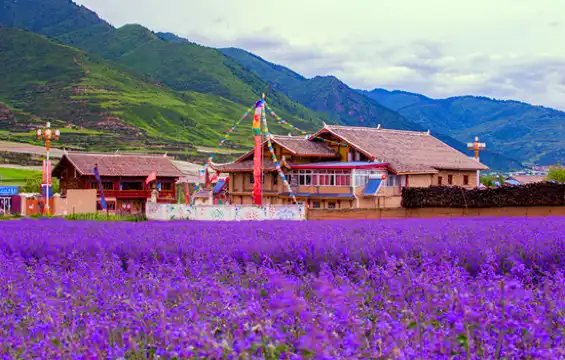 Hotels near Xunyicao Base