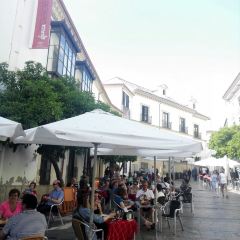 Casa Rubio User Photo
