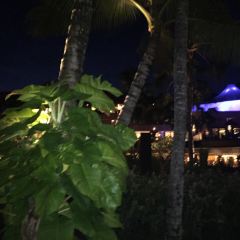 KAYUPUTI User Photo