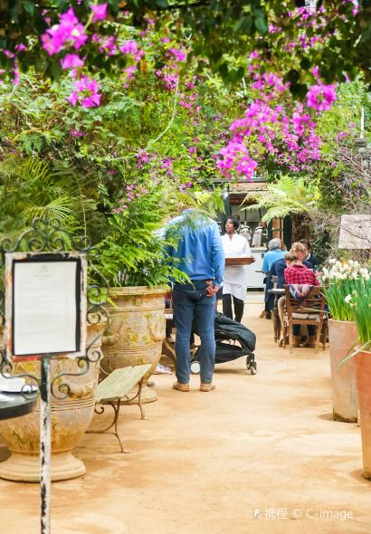 Petersham Nurseries Restaurant