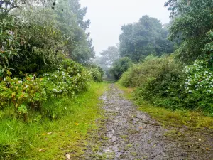 Volcan Baru National Park